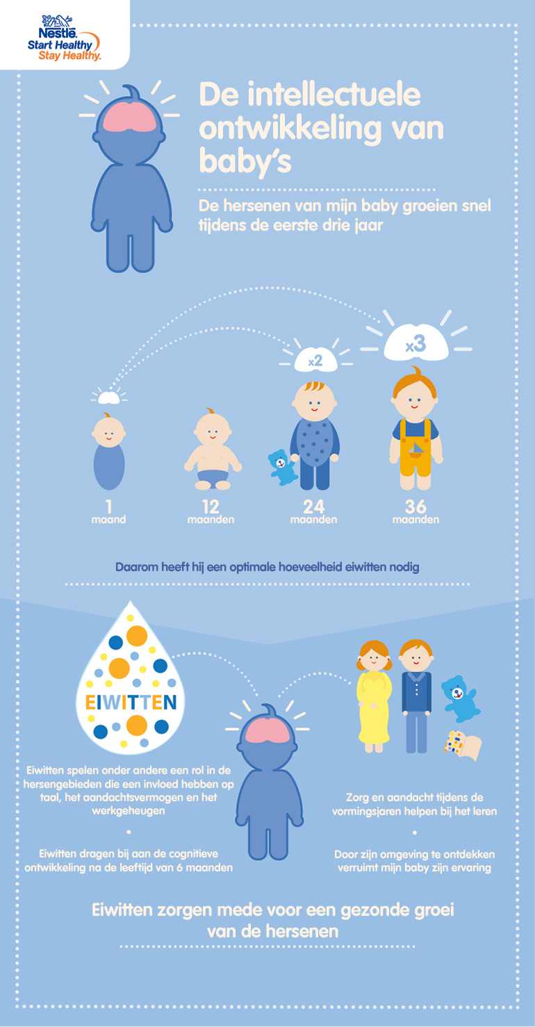 infographic de intellectuele ontwikkeling van de babys
