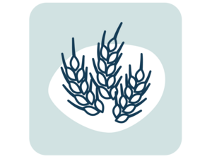 Graphic icon: three navy wheat stalks on a white blob, pale blue rounded square background