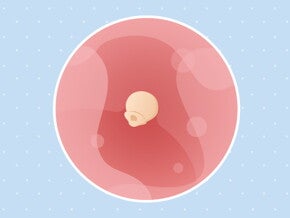 1 week zwanger