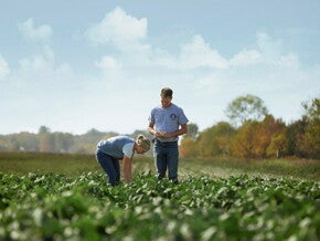 Man and woman on the vegetable field