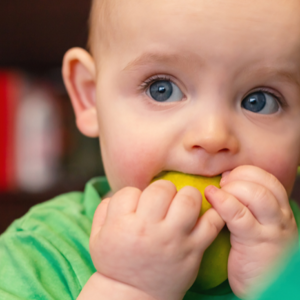 Bijten en kauwen baby
