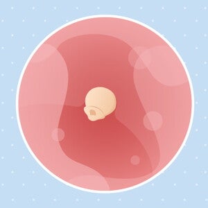 1 week zwanger