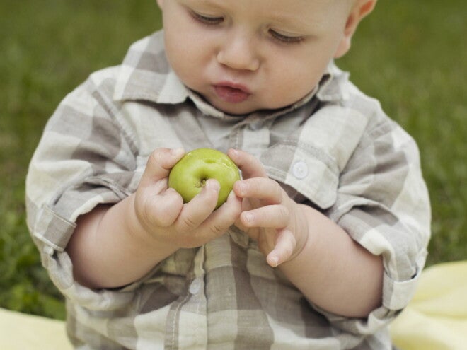 Zelfgemaakte appelmoes
