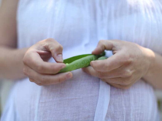 Zwangere vrouw met tuinboon Zwangere vrouw met tuinboon