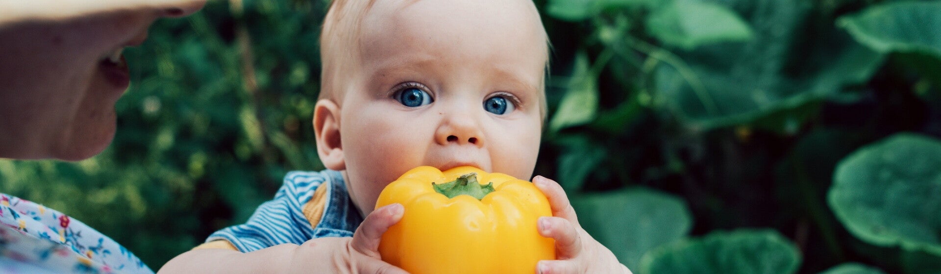 Biologische babyvoeding Biologische babyvoeding