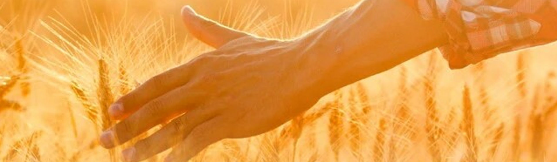Babyvoeding met oog voor het klimaat Babyvoeding met oog voor het klimaat