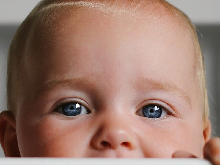 Nestle babyvoeding producten Nestle babyvoeding producten