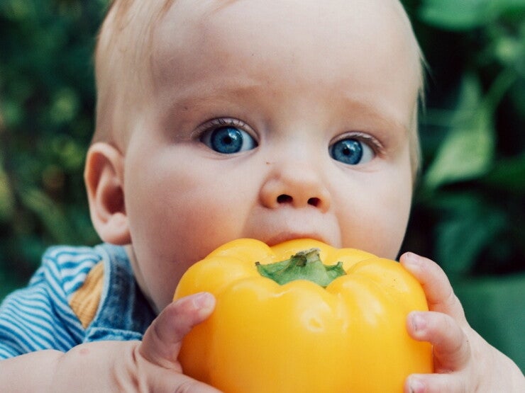 Biologische babyvoeding Biologische babyvoeding