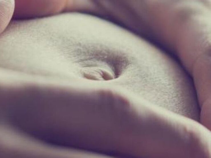 Pregnant Belly Pregnant Belly