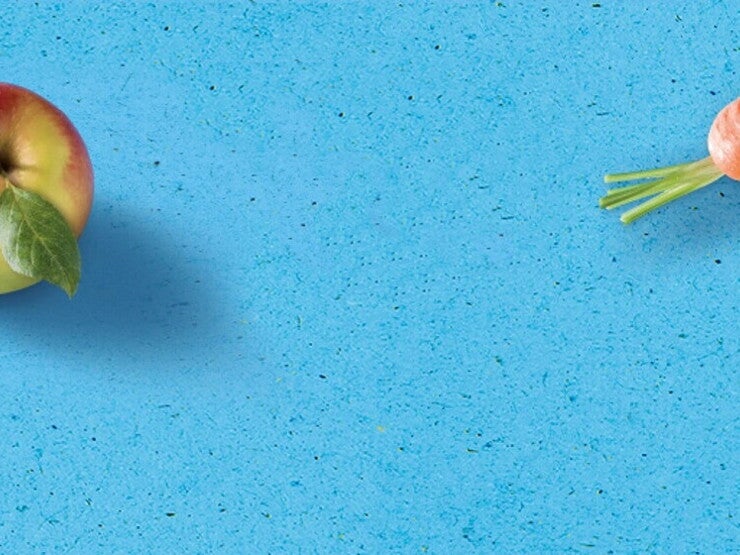 header_image_naturnes header image naturnes