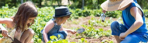 Kids gardening Kids gardening